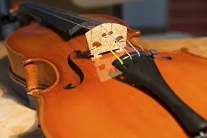 String Instrument Detail Drucke: Violin