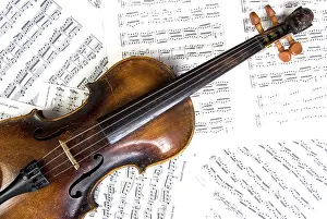 Violin Making Drucke: Violin