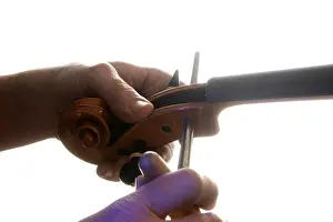 Luthier Work Drucke: Violin-maker (luthier) fitting a tuning peg into pegbox
