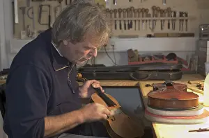 Musical Instrument Maker Drucke: Violin-maker is reparing a violin