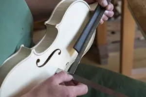 Violin Making Process Drucke: Violin making, attaching the neck