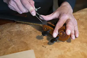 Violin Making Process Drucke: Violin making, making the violin ready to play