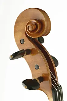Music Instrument Studio Shot Drucke: Violin scroll and tuning pegs in pegbox