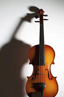 White Background Violin Drucke: Violin with soft shadow and copy space