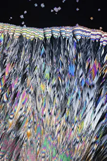 Hippuric Acid Crystals Drucke: A vivid image showcasing the striking