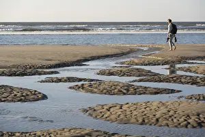Low Tide Beach Drucke: A walker on the beach at low tide with tide pools