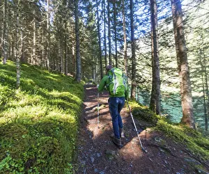 Outdoor Recreation Activity Drucke: Walker on forest trail going uphill