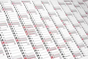 Annual Planning Calendar Drucke: Wall calendar