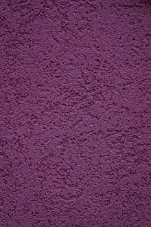 Historic Defence Work Drucke: Wall colour plum for background and texture