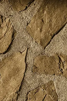 Grunge Wall Texture Drucke: Wall surface as a simple grunge background texture pattern