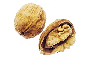 Walnut Nutrition Drucke: Walnut