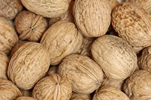 Walnut Photography Drucke: Walnuts