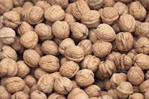 Walnut Photography Drucke: Walnuts
