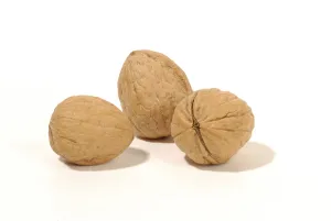 Close Up Walnuts Drucke: Walnuts