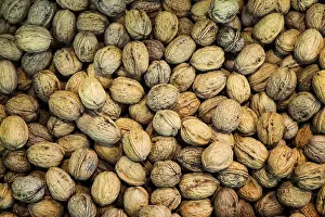 Studio Shot Of Nuts Drucke: Walnuts