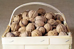 Nature Fruits Drucke: Walnuts in a basket