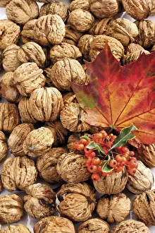Walnut Nutrition Facts Drucke: Walnuts, firethorn and maple leaf