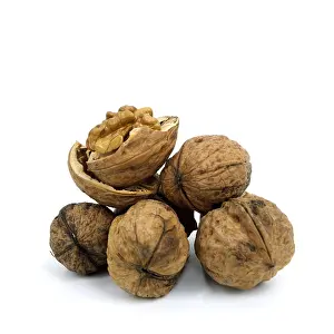 Deserted Walnut Scene Drucke: Walnuts on white background