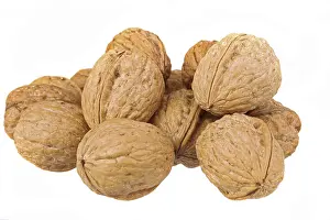 Close View Of Walnuts Drucke: Walnuts on white background