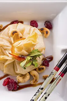Appetizing Dishes Drucke: Wan Tan