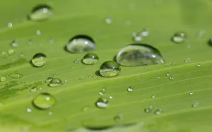 Empty Waters Scene Drucke: Water drop