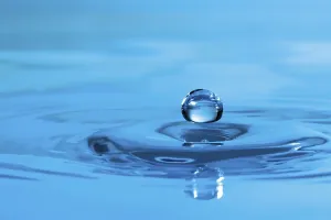Water Drop Detail Drucke: Water drop