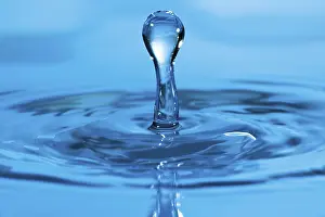 Water Drop Close Up Drucke: Water drop