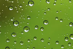 Rainy Background Drucke: Water droplets in detail as background