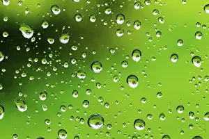 Rainy Background Drucke: Water droplets in detail as background