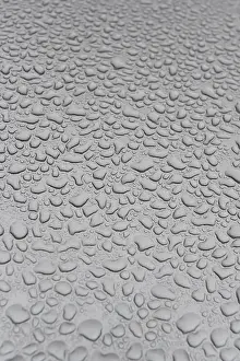 Deserted Daytime Scene Drucke: Water drops