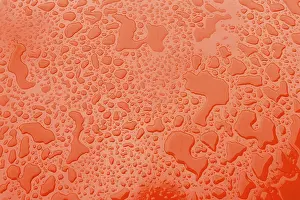 Full Frame Water Image Drucke: Water drops, red background