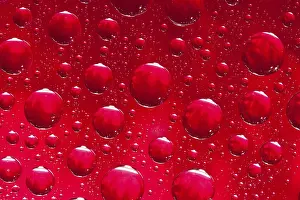 Red Background Image Drucke: Many water drops on red background