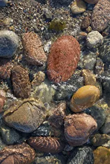 Northern Germany Coast Drucke: Water flows around colourful pebbles at the beach