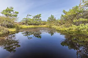 Sweden Lake Scenery Drucke: There are many water points on the Vetteberg