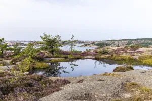 Scandinavian Mountainous Region Drucke: There are many water points on the Vetteberg