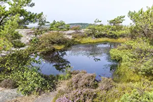 Mountainous Nordic Landscapes Drucke: There are many water points on the Vetteberg