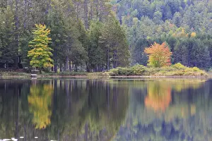 Empty Waterfront Scene Drucke: Water reflection of the trees in the lake