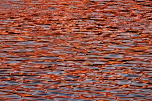 Evening Atmosphere Images Drucke: Water with reflections from the sunset