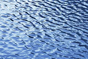 Deserted Lake Landscape Drucke: Water ripples texture