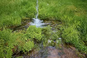Uninhabited Waterfront In Germany Drucke: Water source, meadow, spring, Spessart