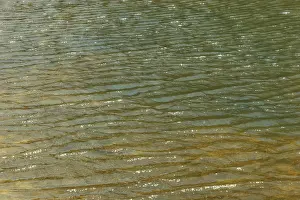 Waterfront Travel Photos Drucke: Water surface