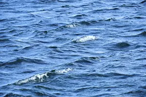 Wavy Structure Design Drucke: Water surface with small waves, wallpaper, Germany