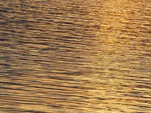 Central Europe Waterfront Drucke: Water surface with structures and golden light
