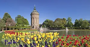 Mannheim Water Tower Drucke: Water tower at Friedrichsplatz