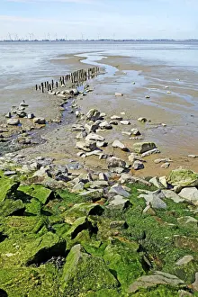 Europe Travel Images Drucke: Watercourse in front of the outer dike