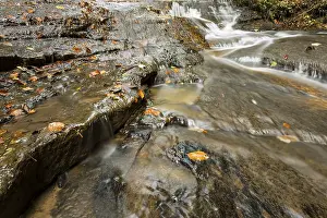 Central Europe Autumn Colors Drucke: Watercourse of Struempfelbach stream