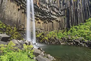 Icelandic National Park Scenery Drucke: Waterfall, basalt columns, summer