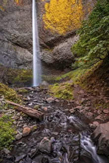 Latourell Falls Oregon Drucke: Waterfall in front of basalt rock