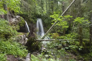 Bavarian Waterfall Drucke: Waterfall, cascade, waters, river