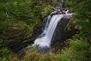 Victoria Falls Scotland Drucke: Waterfall flows over rocks in the midst of lush forest
